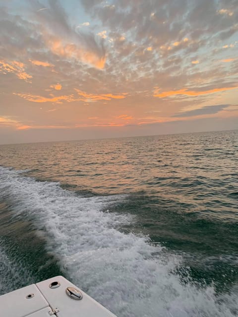 St. Petersburg: In Shore Cruise - Pricing and Reservation Information