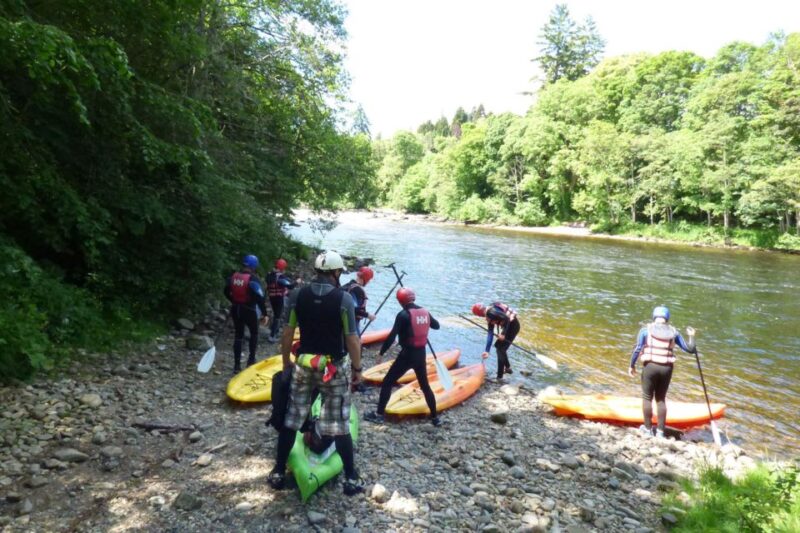Stand Up Paddle Boards (SUPs) in Aberfeldy - Highlights of the Experience