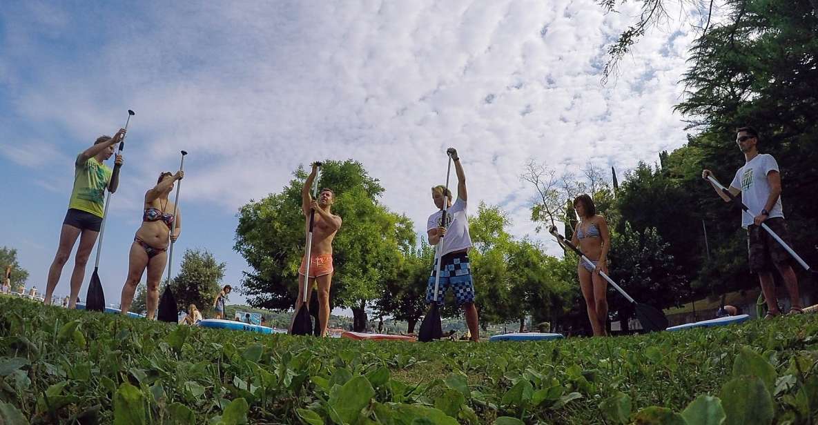 Stand up Paddle Course on the Slovenian Coast - Experience Details