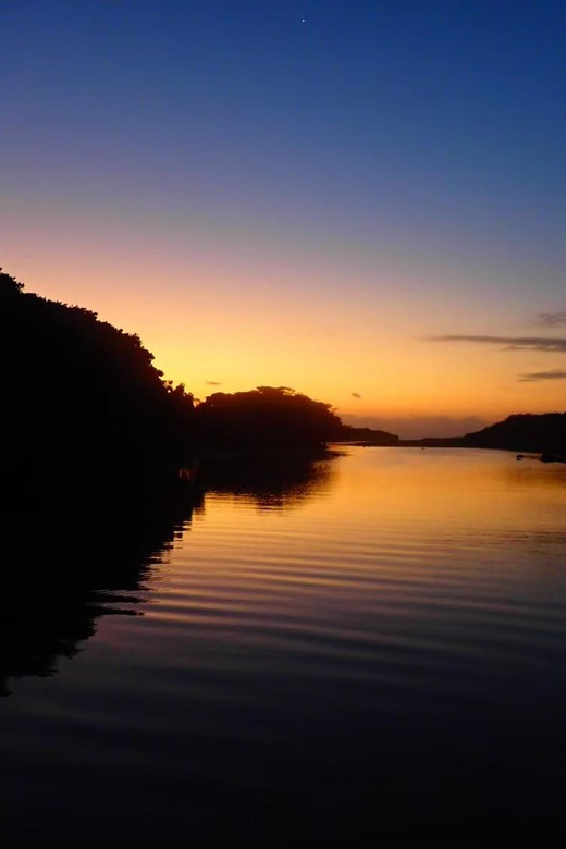 Stand Up Paddleboard: Amazing Sunrise at Mangrove River - Cancellation Policy