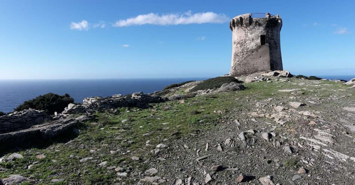 Stintino: Trekking Tour in Capo Falcone - Booking Details and Pricing