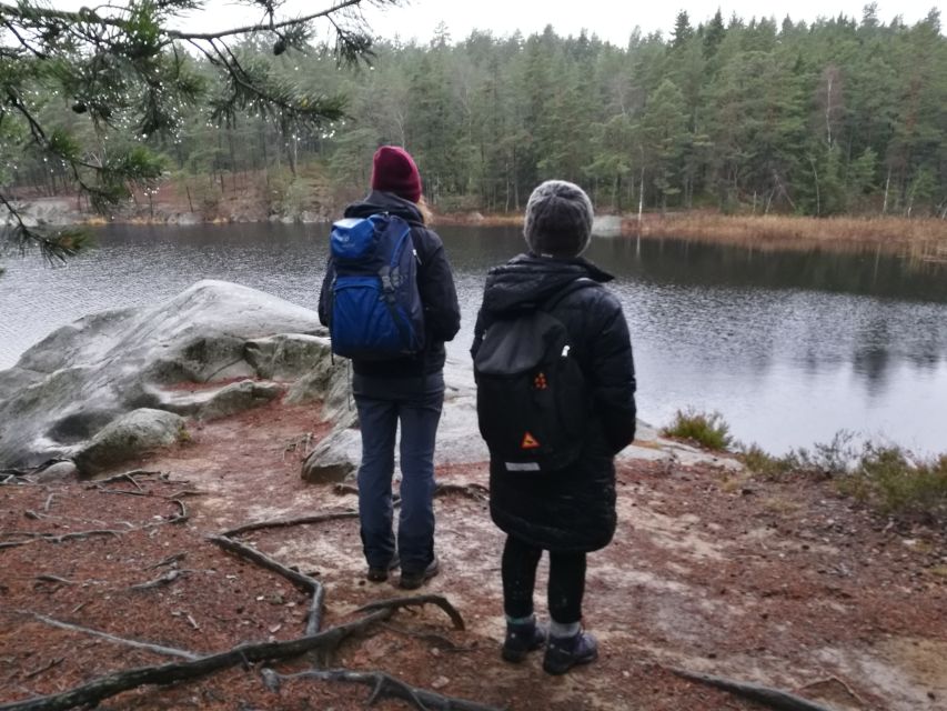 Stockholm: Winter Nature Hike With Campfire Lunch - Experience Description