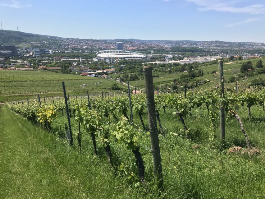 Stuttgart: Wine Tour With Wines of the Best Winemakers - Tour Duration and Pricing