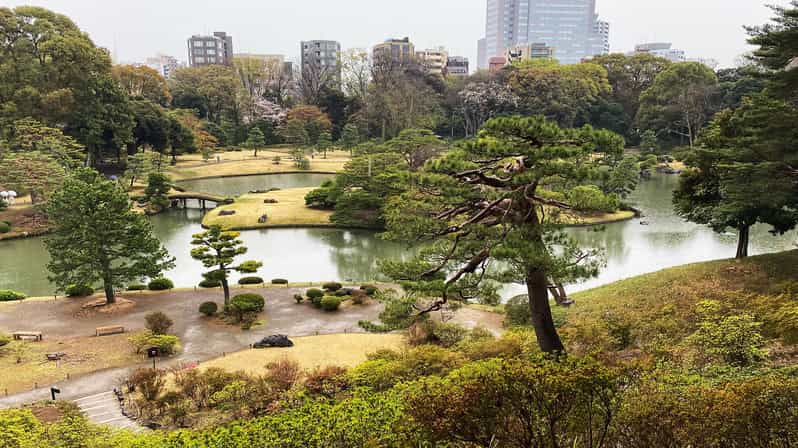 Sugamo Adventure: Enchanting Picnic at Rikugien Garden! - Experience Highlights