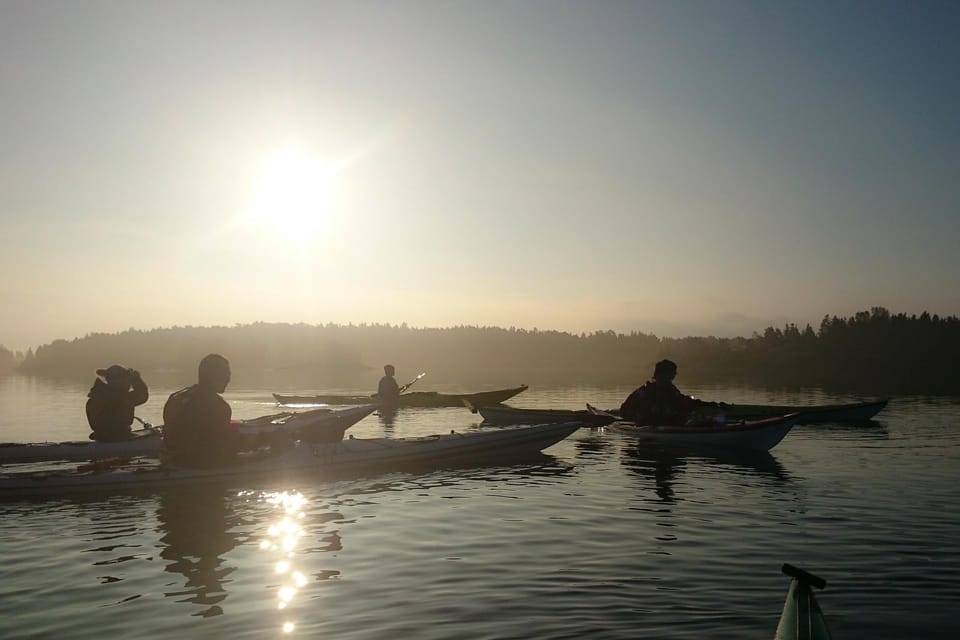 Summer Evening in a Sea Kayak, Turku Archipelago - Pricing and Booking Details