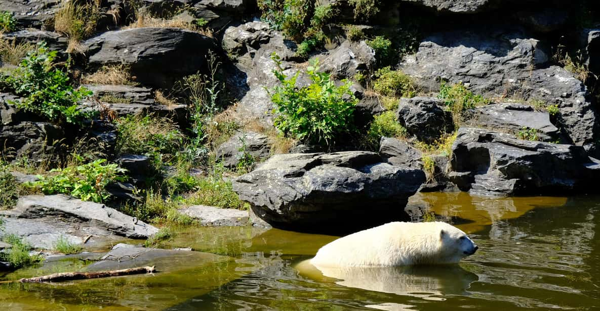 Summer Tour From Rovaniemi: Korouoma Waterfall and Ranua Zoo - Itinerary Details