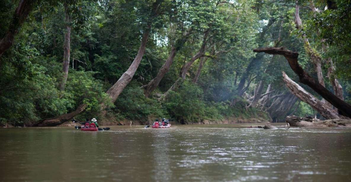 Sungai Berang Wildlife & Cultural Kayak Tour - Experience Highlights