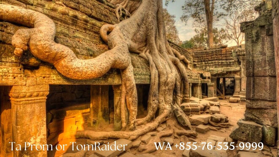 Sunrise Cycling Of Angkor Wat Temple - Itinerary Highlights