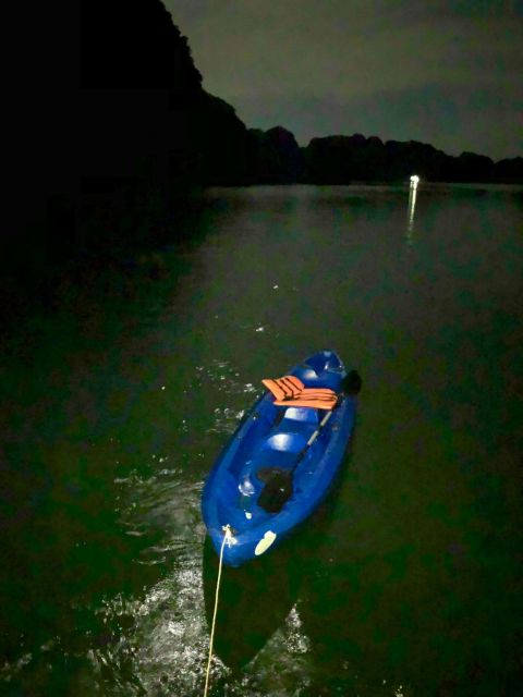 Sunset and Plankton Bio Luminescent Night Kayak - Itinerary Highlights