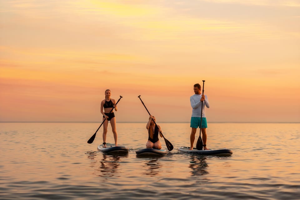 Sunset Dolphin & Bioluminescent Comb Jelly Tour Florida - Activity Details