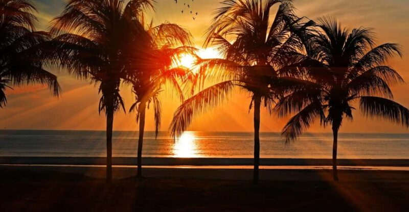 Sunset Glide to Magic Island Segway Tour - Tour Highlights