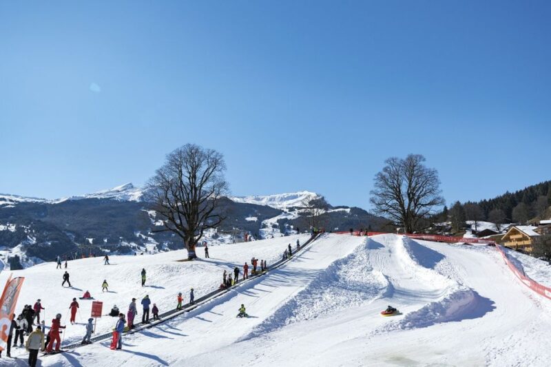 Swiss Ski Experience in the Jungfrau Region - Itinerary Highlights