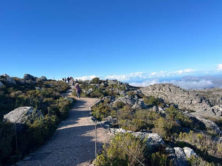 Table Mountain and Constantia Wine Tasting Private Tour - Table Mountain Excursion