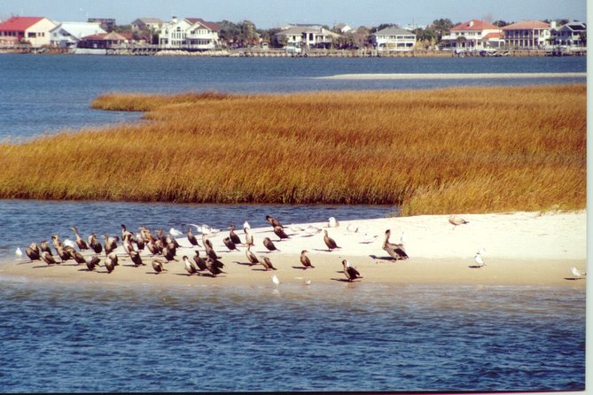 Take a Scenic Boat Ride in St. Augustine - Tour Logistics and Details