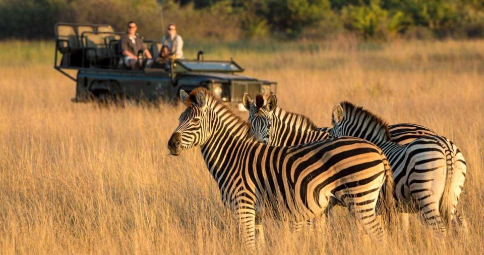 Tala Game Reserve, Natal Lion Park & Phezulu From Durban - Highlights of Tala Game Reserve