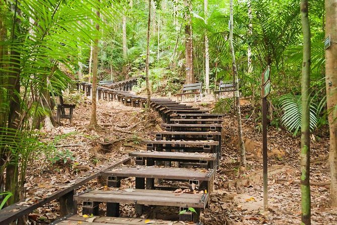 Taman Negara Day Tour With Canopy Walk - Tour Itinerary Details