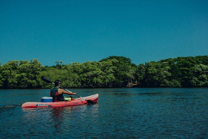 Tamarindo Kayak Estuary Mangrove Tour - Exploring the Mangroves