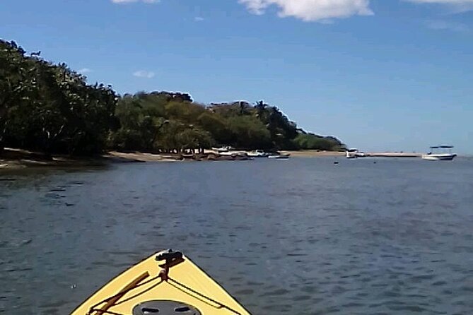 Tamarindo Mangrove Forest National Park Kayaking - Kayaking Experience and Duration
