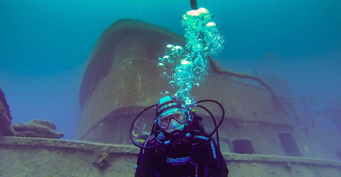 Tenerife: 2 Diving Sessions for Certified Divers - Experience and Highlights