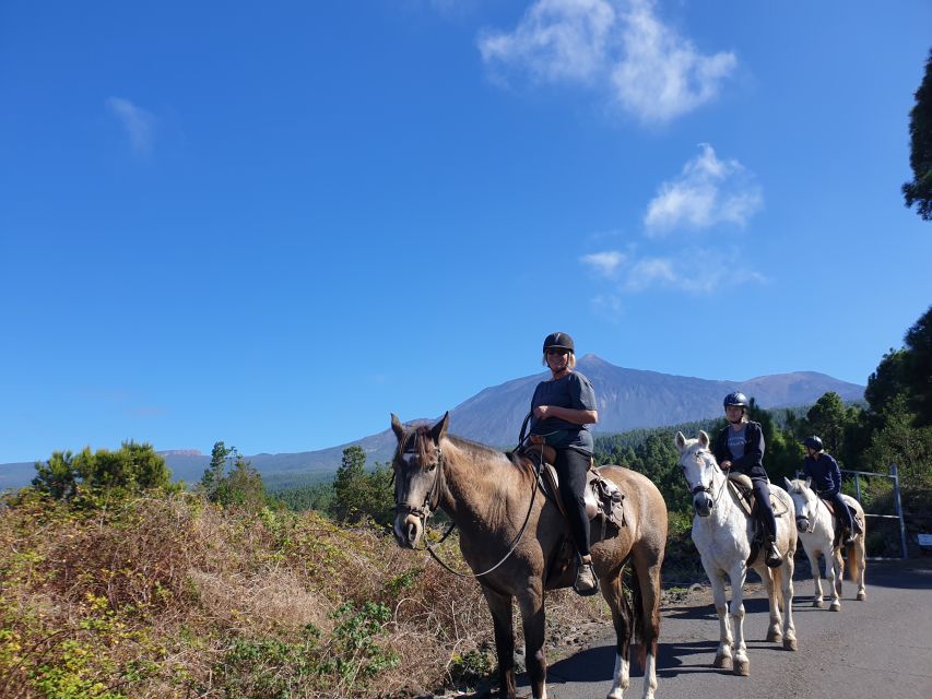 Tenerife: Guided Horseback Riding Tour to the Lomo Forest - Booking and Cancellation