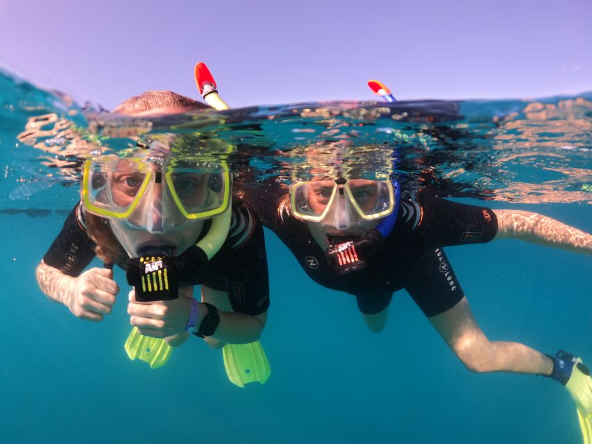 Tenerife: Half-Day Snorkeling Tour - Experience Highlights