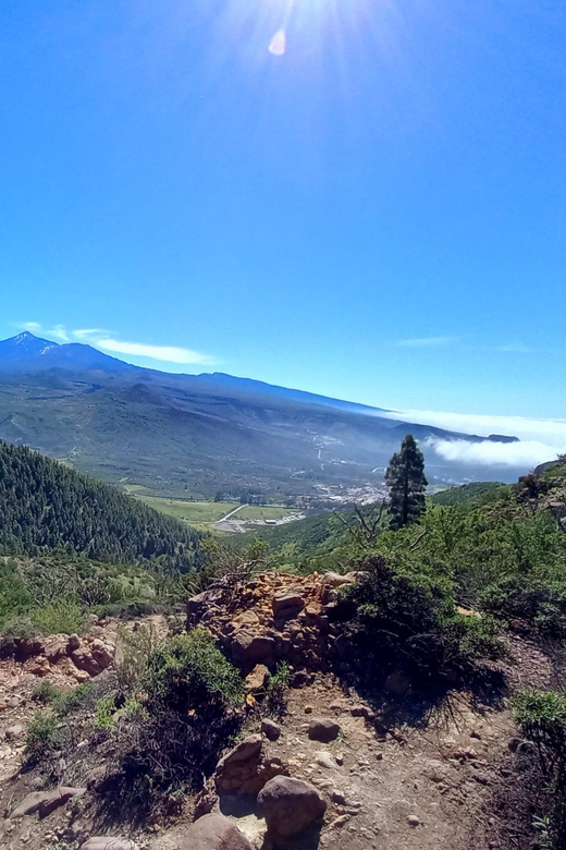 Tenerife: Hiking Above the Village of Masca - Pickup and Drop-off Locations