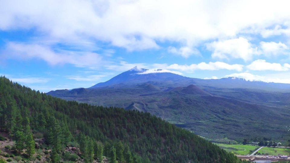 Tenerife: Hiking Tour Above Masca and Enchanted Forest - Itinerary and Highlights