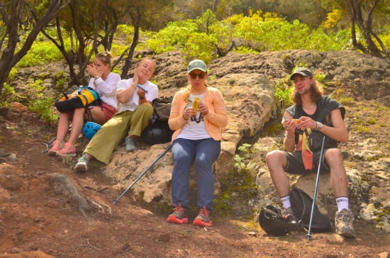 Tenerife: Hiking Tour in Anaga Mountains and Laurel Forest - Pickup and Transportation