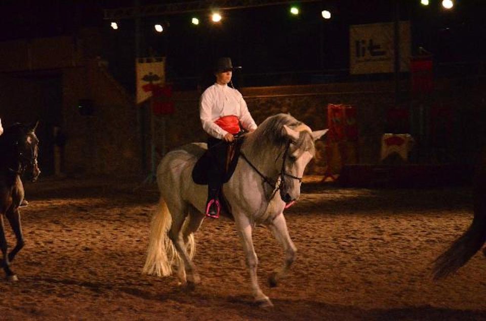 Tenerife: Horse Show Entry Ticket With Optional Dinner - Experience Overview