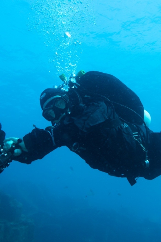Tenerife: Private Dive for Beginners From a Boat - Discover Scuba Diving