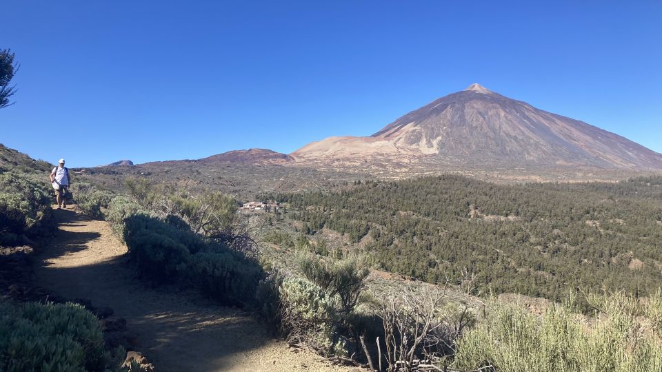 Tenerife: Private Guided Mindful Hike Teide With Transport - Experience Details