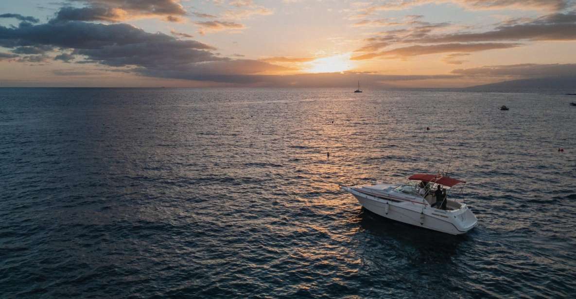 Tenerife: Private Luxury Sunset Boat Experience - Pricing and Reservation