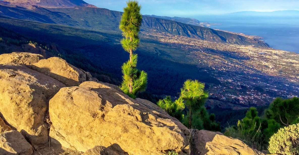 Tenerife Private Tour: Teide and Flavors of The North - Explore UNESCO World Heritage Site