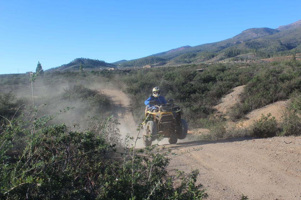 Tenerife: Quad Bike Off-Road Adventure - Experience Highlights