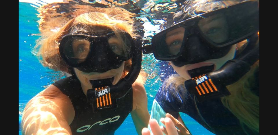 Tenerife: Snorkeling Tour in a Marine Protected Area - Snorkeling Experience