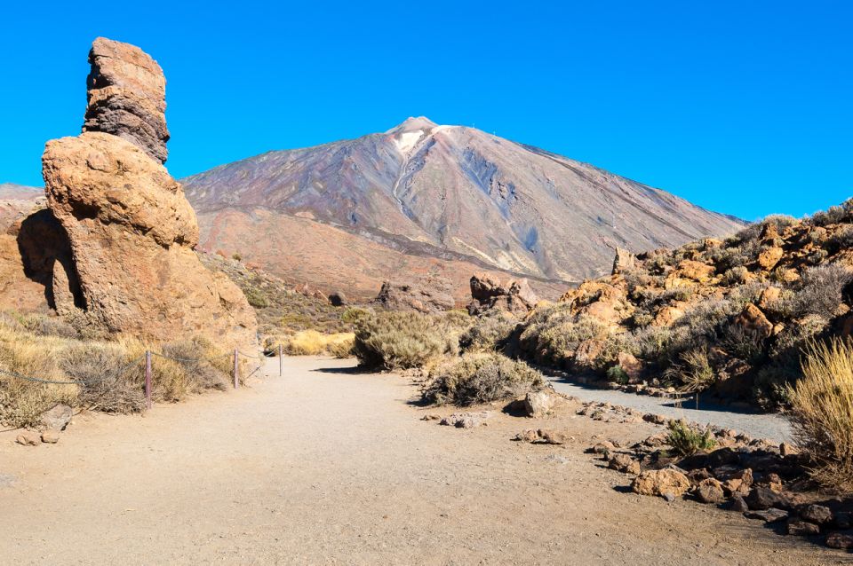 Tenerife: Teide and Las Cañadas Half-Day Tour - Experience Highlights