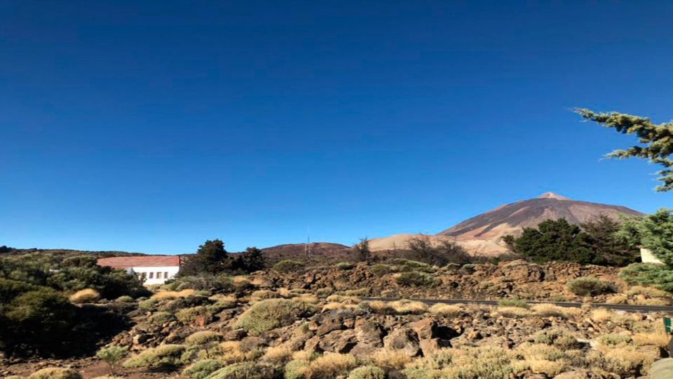 Tenerife: Teide National Park Guided Full-Day Trip by Bus - Itinerary and Experience