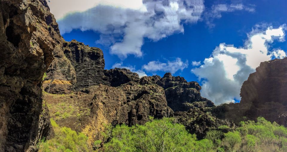 Tenerife: Teide National Park & Teno Rural Park Private Tour - Itinerary and Highlights