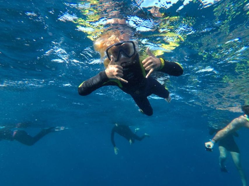 Tenerife: Underwater Lava Tongues Snorkel Excursion - Key Features of the Experience