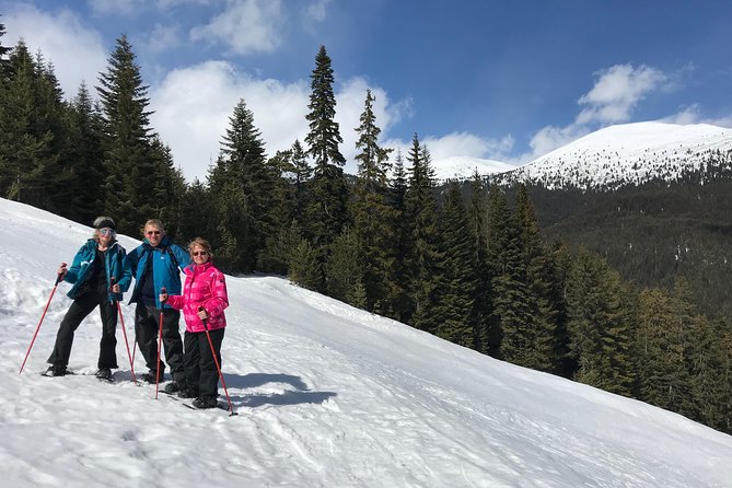 The Best of Bansko: Magical Snowshoeing Adventure & SPA - Meeting and Pickup Information