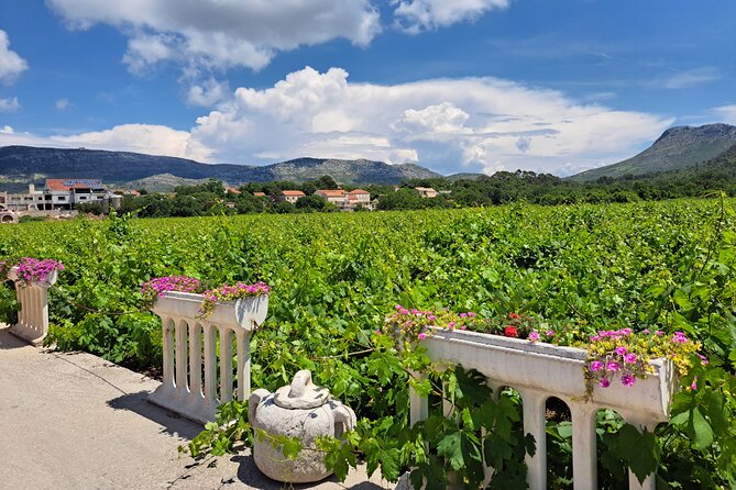 The Exquisite Flavors of Peljesac, Private Wine Tasting Trip - Tour Details and Inclusions