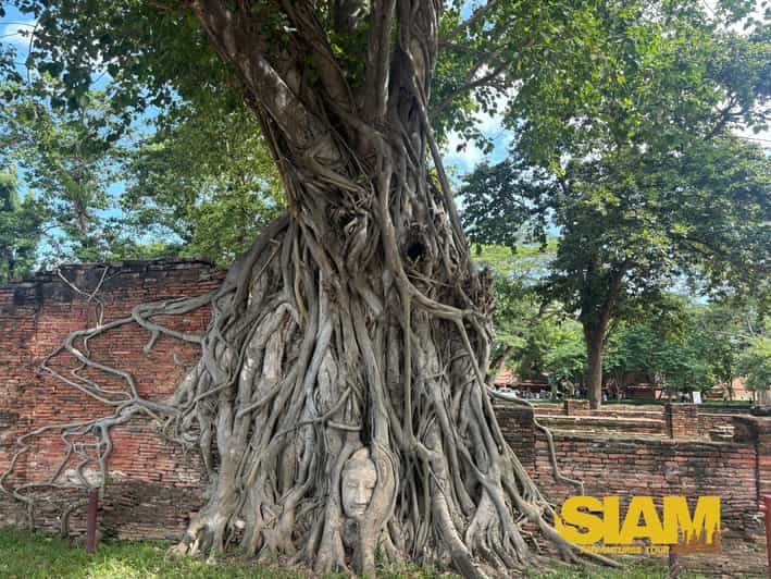 The Incredible Ayutthaya Ancient Temple Tour : From Bangkok - Itinerary Highlights