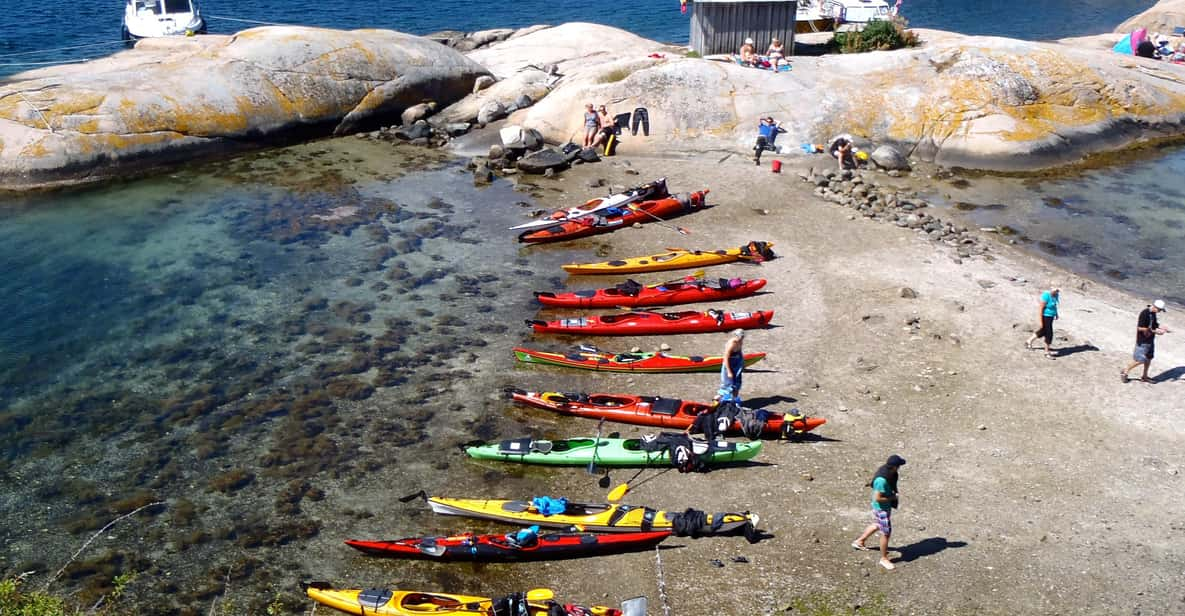 The Lunch Trip Sea Kayak Tour - Pricing and Booking Details