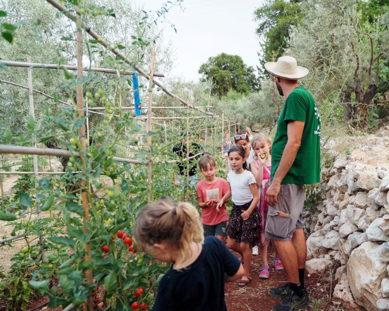 The Olive Oil Experience @ Lefkada Micro Farm - Pressing Your Own Olive Oil