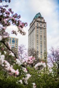 The Pierre, A Taj Hotel, New York - Amenities and Services Offered