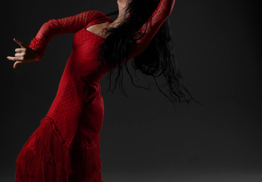 The Soleá Spectacle: Granada's Elite Flamenco Encounter - Flamenco Performance