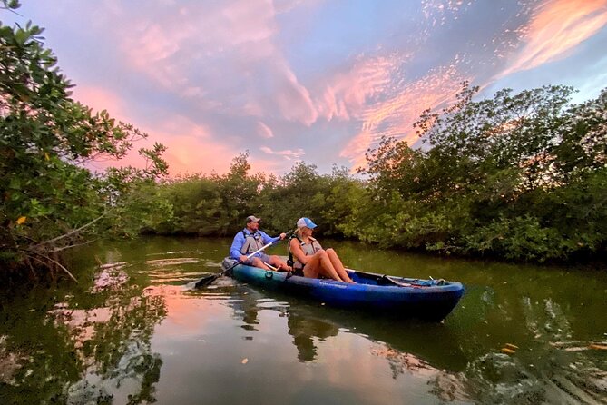 Thousand Islands Mangrove Tunnel & Bio Comb Jelly Sunset Tour - Experience Highlights