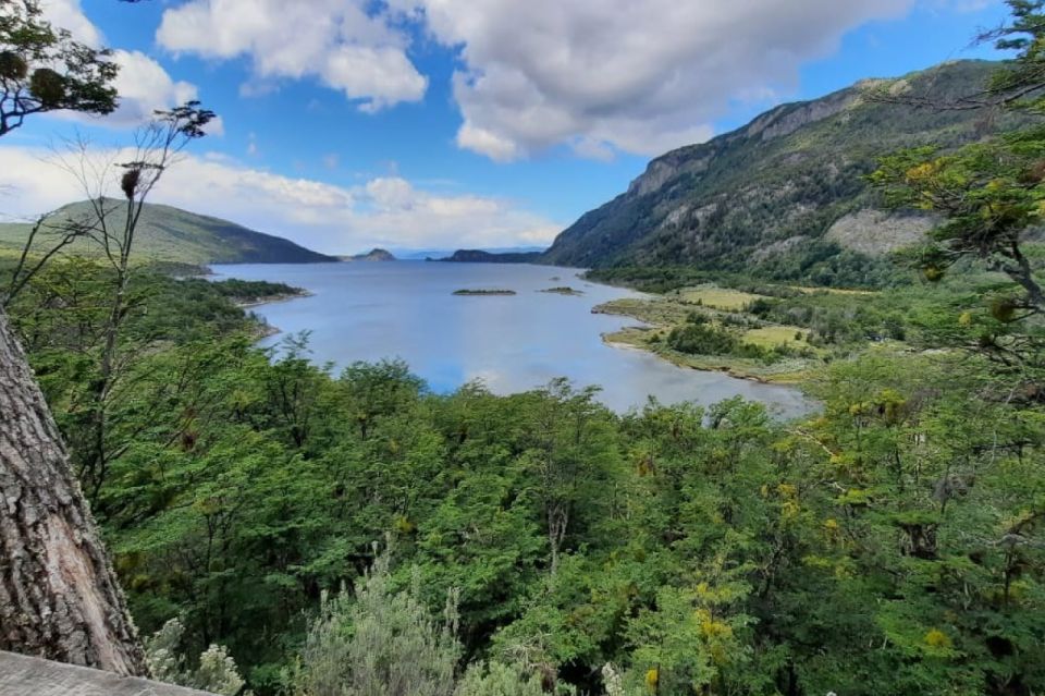 Tierra Del Fuego National Park - Half Day Tour (Not Train) - Highlights of the Tour