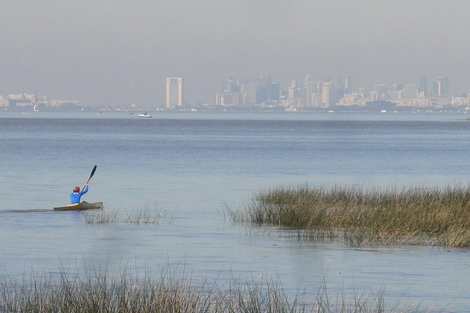 Tigre Delta Sightseeing Cruise From Buenos Aires - Inclusions and Amenities