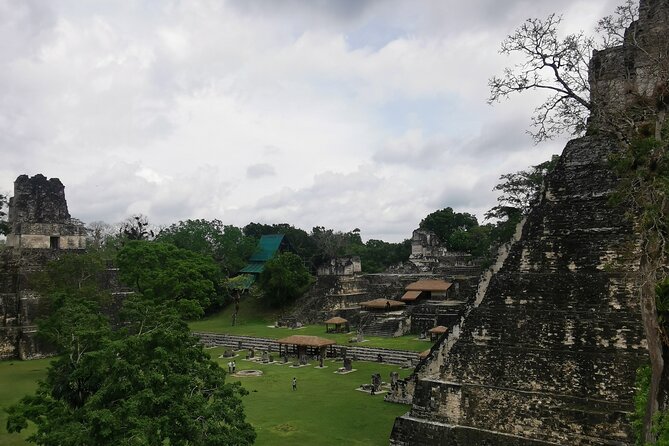 Tikal Day Adventure From San Ignacio (Lunch Included) - Transportation and Languages